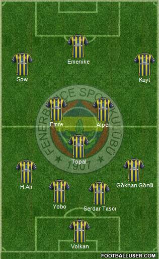 Fenerbahçe SK Formation 2013