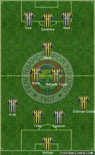 Fenerbahçe SK Formation 2013