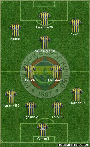 Fenerbahçe SK Formation 2013