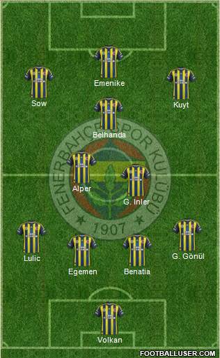 Fenerbahçe SK Formation 2013