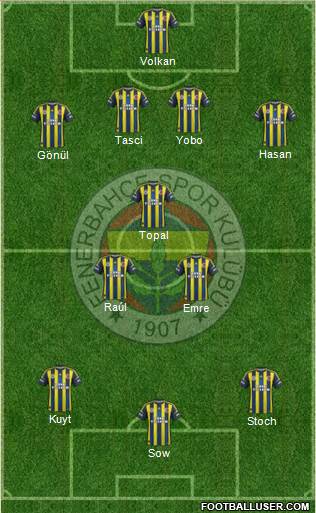 Fenerbahçe SK Formation 2013