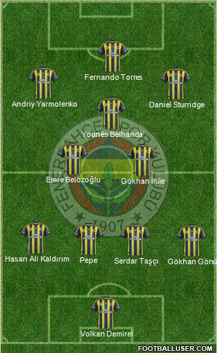 Fenerbahçe SK Formation 2013