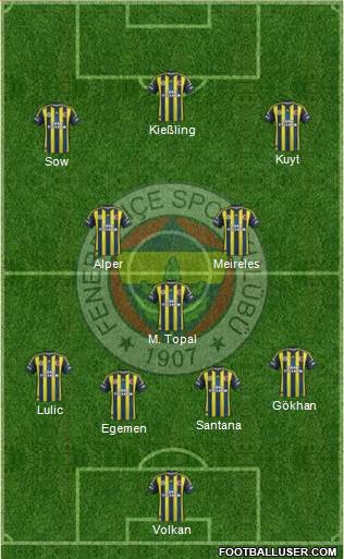 Fenerbahçe SK Formation 2013