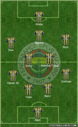 Fenerbahçe SK Formation 2013