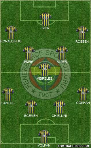 Fenerbahçe SK Formation 2013