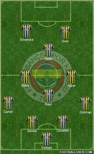 Fenerbahçe SK Formation 2013