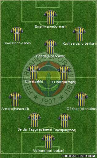 Fenerbahçe SK Formation 2013