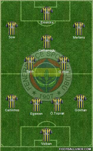 Fenerbahçe SK Formation 2013