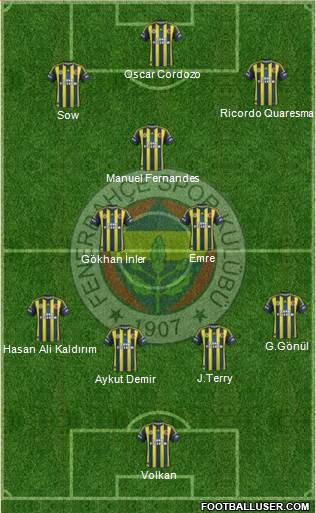 Fenerbahçe SK Formation 2013