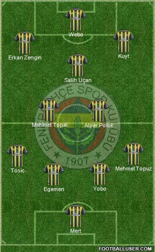 Fenerbahçe SK Formation 2013