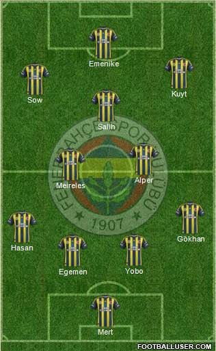 Fenerbahçe SK Formation 2013