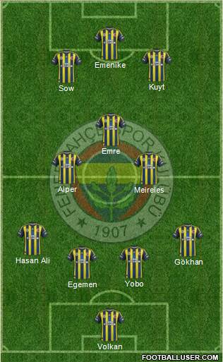 Fenerbahçe SK Formation 2013