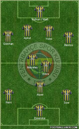 Fenerbahçe SK Formation 2013