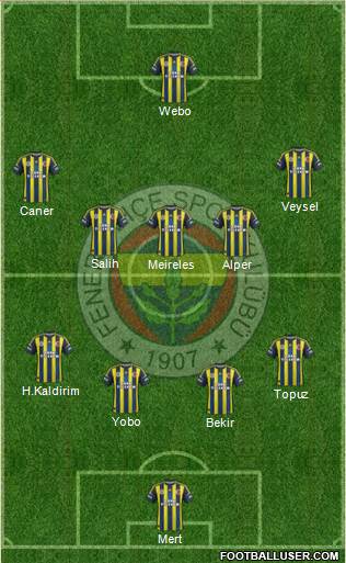 Fenerbahçe SK Formation 2013