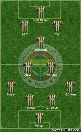 Fenerbahçe SK Formation 2013