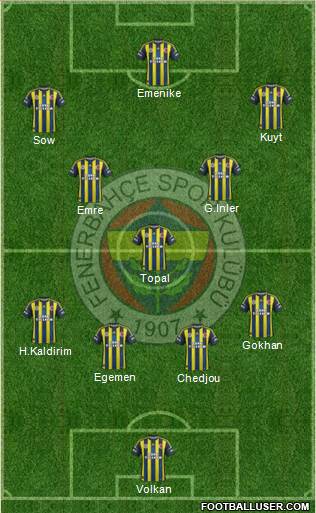 Fenerbahçe SK Formation 2013