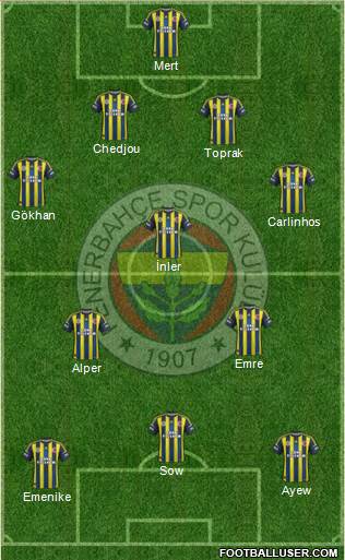 Fenerbahçe SK Formation 2013