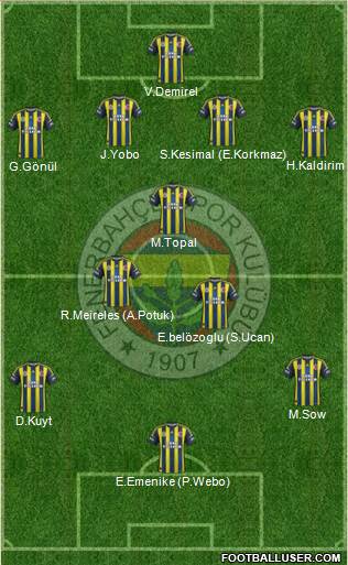 Fenerbahçe SK Formation 2013