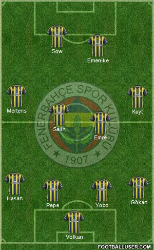 Fenerbahçe SK Formation 2013