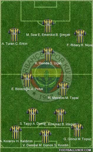 Fenerbahçe SK Formation 2013