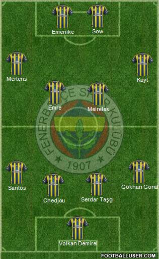 Fenerbahçe SK Formation 2013