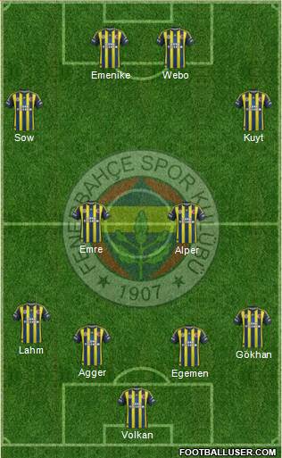 Fenerbahçe SK Formation 2013