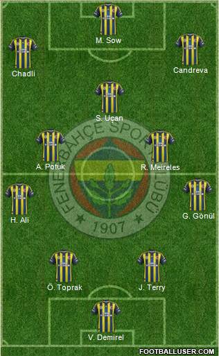 Fenerbahçe SK Formation 2013
