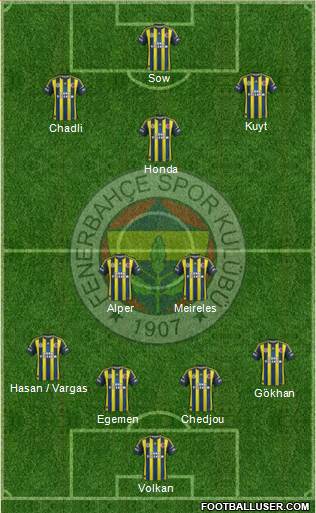 Fenerbahçe SK Formation 2013