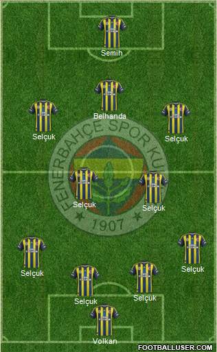 Fenerbahçe SK Formation 2013