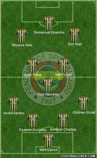 Fenerbahçe SK Formation 2013