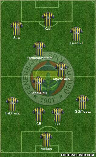 Fenerbahçe SK Formation 2013