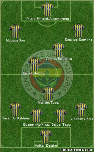 Fenerbahçe SK Formation 2013
