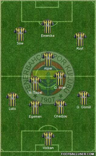 Fenerbahçe SK Formation 2013