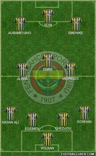 Fenerbahçe SK Formation 2013