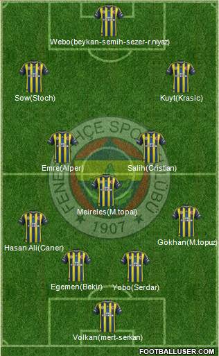 Fenerbahçe SK Formation 2013