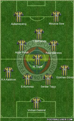 Fenerbahçe SK Formation 2013
