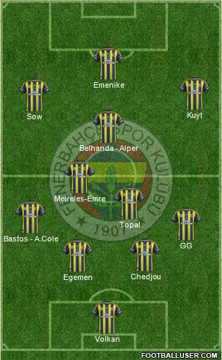Fenerbahçe SK Formation 2013