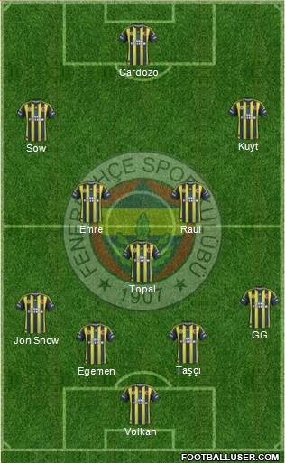 Fenerbahçe SK Formation 2013