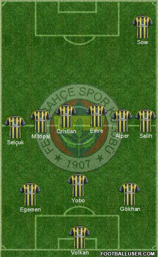 Fenerbahçe SK Formation 2013