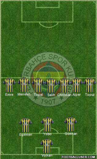 Fenerbahçe SK Formation 2013