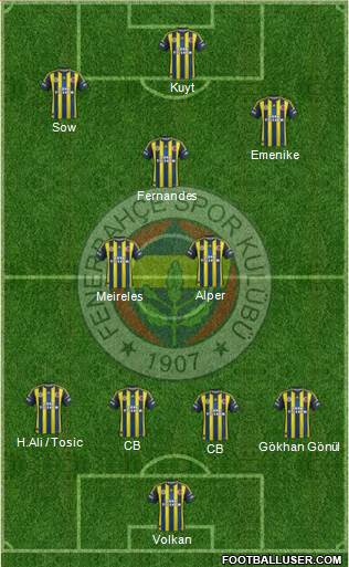 Fenerbahçe SK Formation 2013