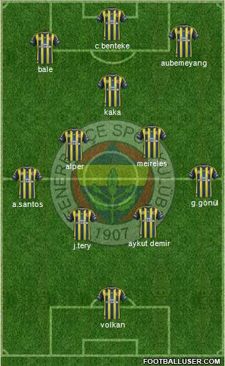 Fenerbahçe SK Formation 2013