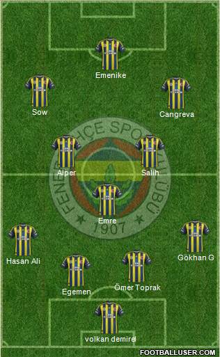 Fenerbahçe SK Formation 2013