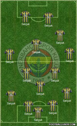 Fenerbahçe SK Formation 2013