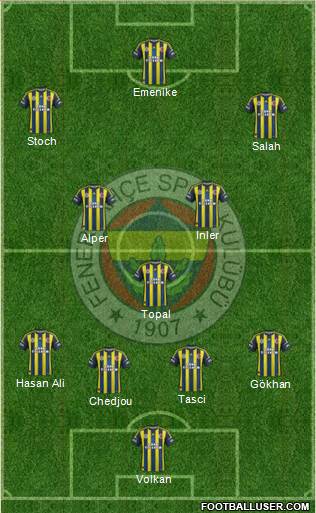 Fenerbahçe SK Formation 2013