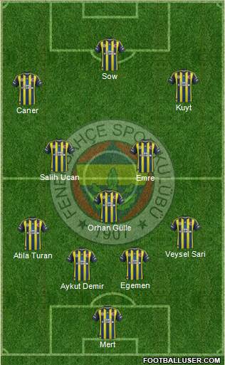 Fenerbahçe SK Formation 2013