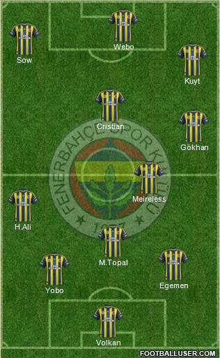 Fenerbahçe SK Formation 2013