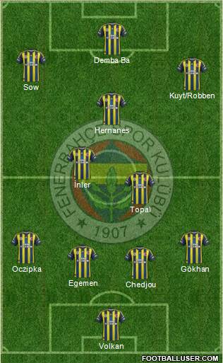 Fenerbahçe SK Formation 2013