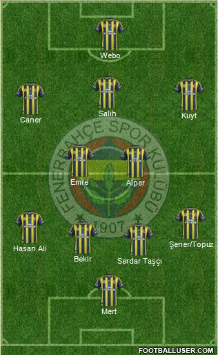 Fenerbahçe SK Formation 2013