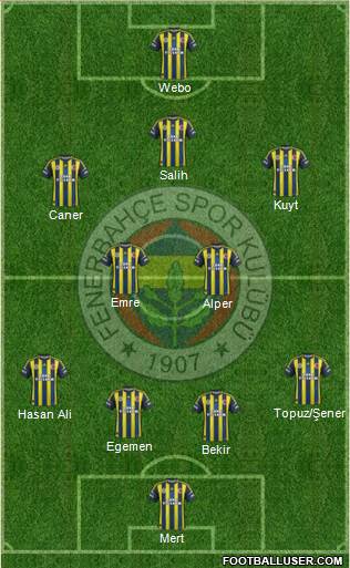 Fenerbahçe SK Formation 2013